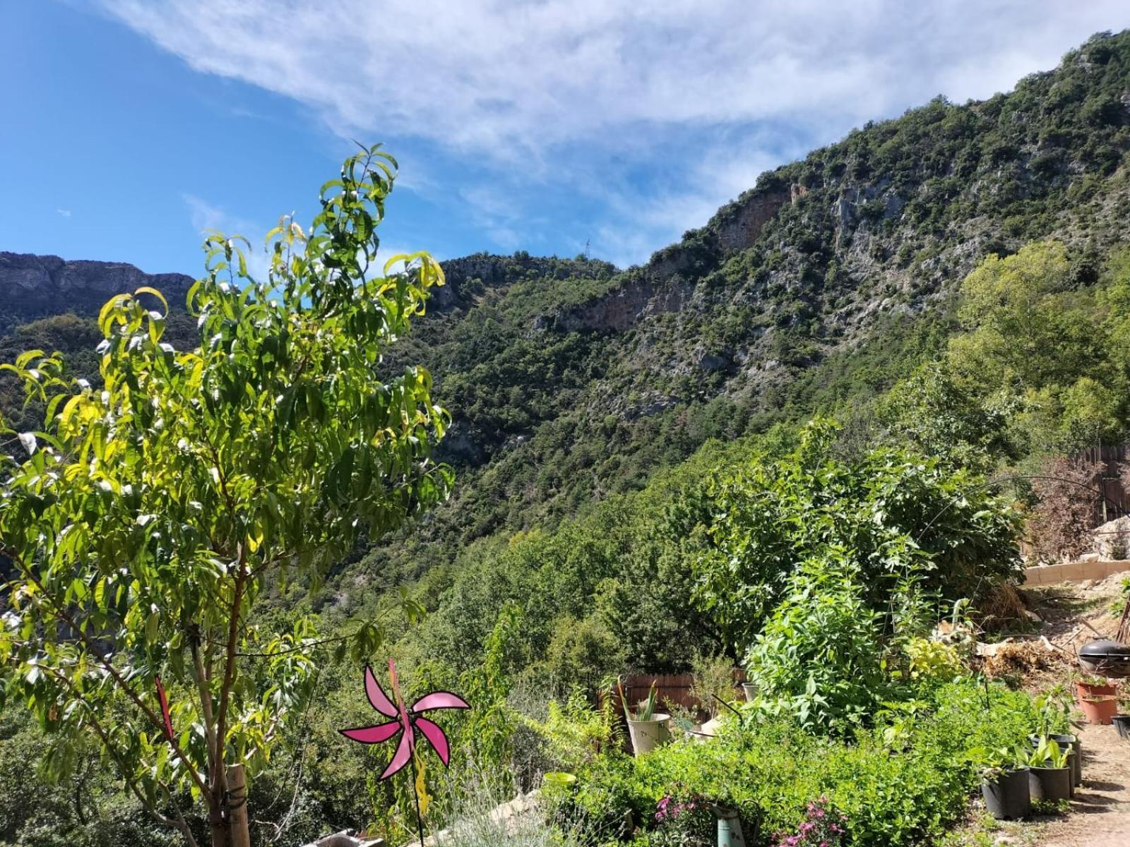 La Gruppio Bed & Breakfast Ilonse Luaran gambar